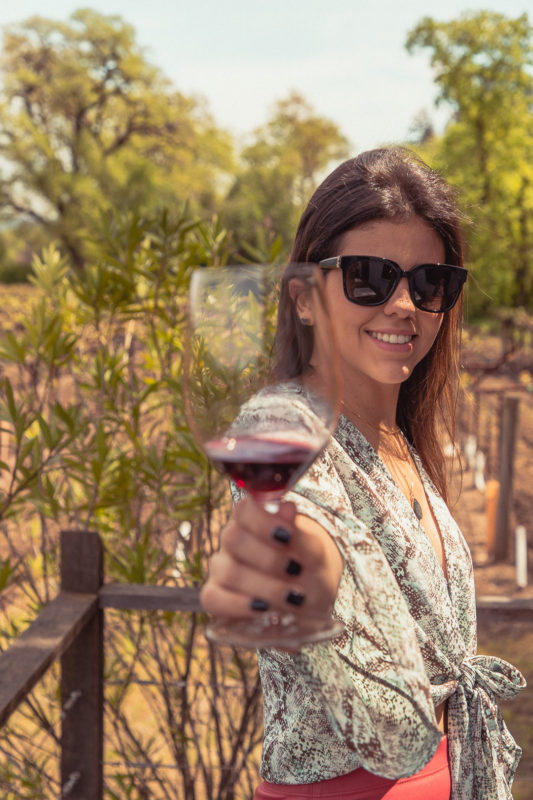 Q&A WITH WINE LOVER ISABEL AND THE CURATOR OF NAPA VALLEY TIP 4