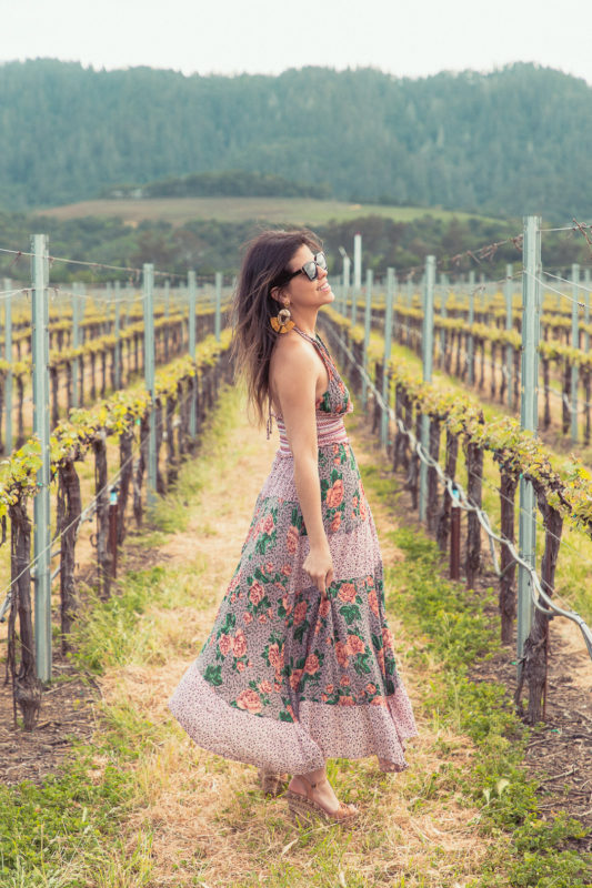 Q&A WITH WINE LOVER ISABEL AND THE CURATOR OF NAPA VALLEY TIP - Napa Valley Tip